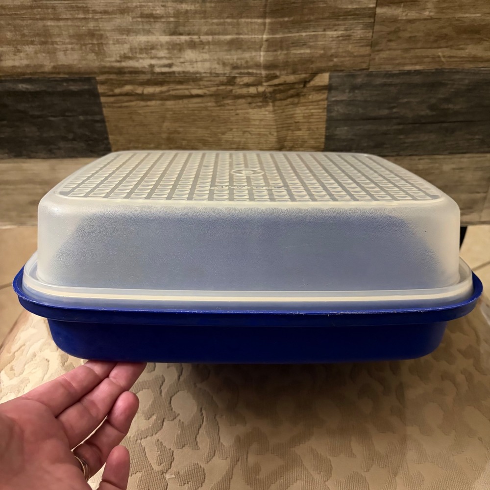 Tupperware Season N Serve Meat Marinade Container 1518 Blue with Lid 1519
